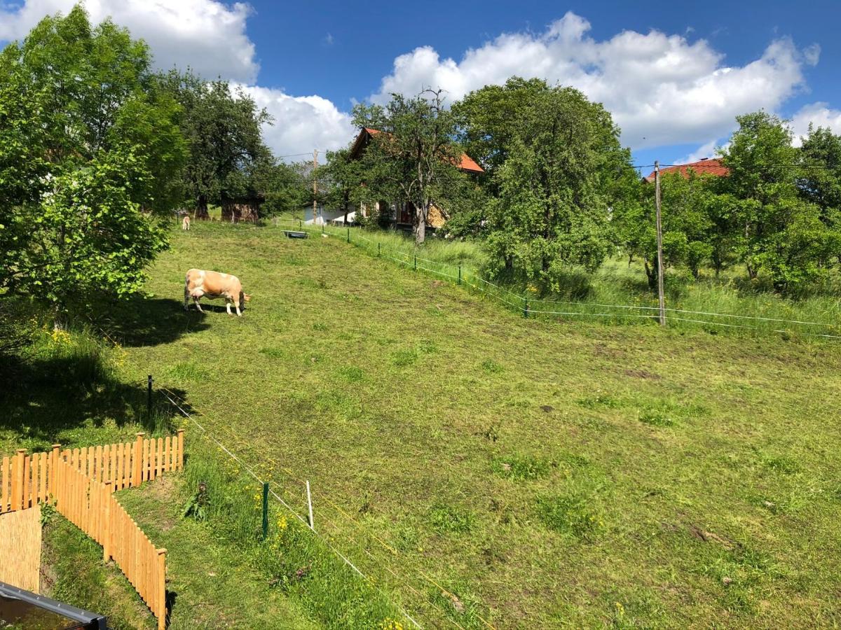 Ferienwohnung Fam. Unterberger Bad Goisern am Hallstättersee Exterior foto